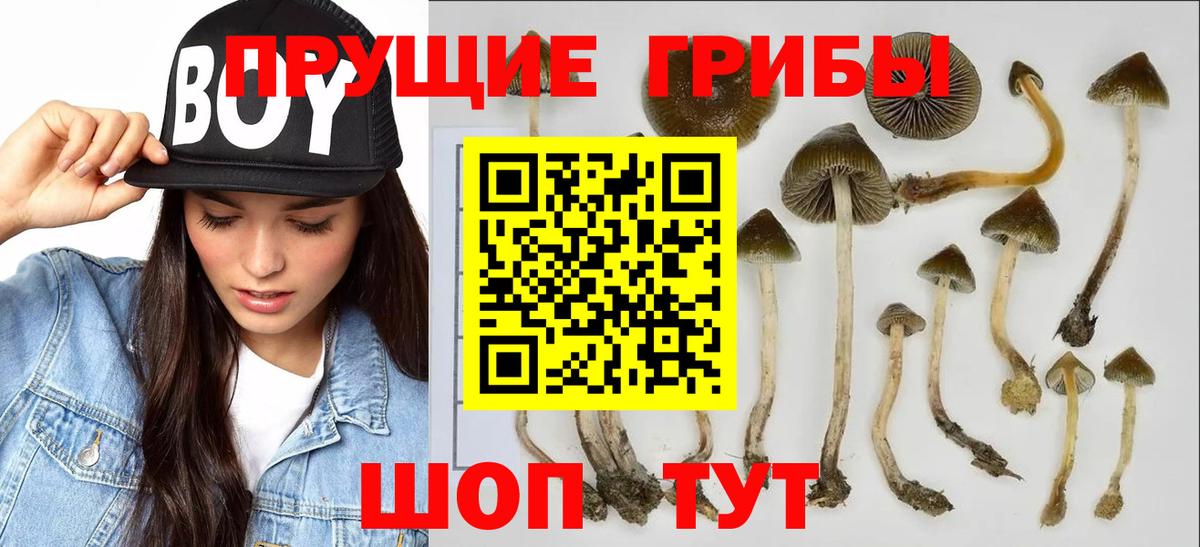 Галлюциногенные грибы мухоморы  Вход с VPN  Киреевск 